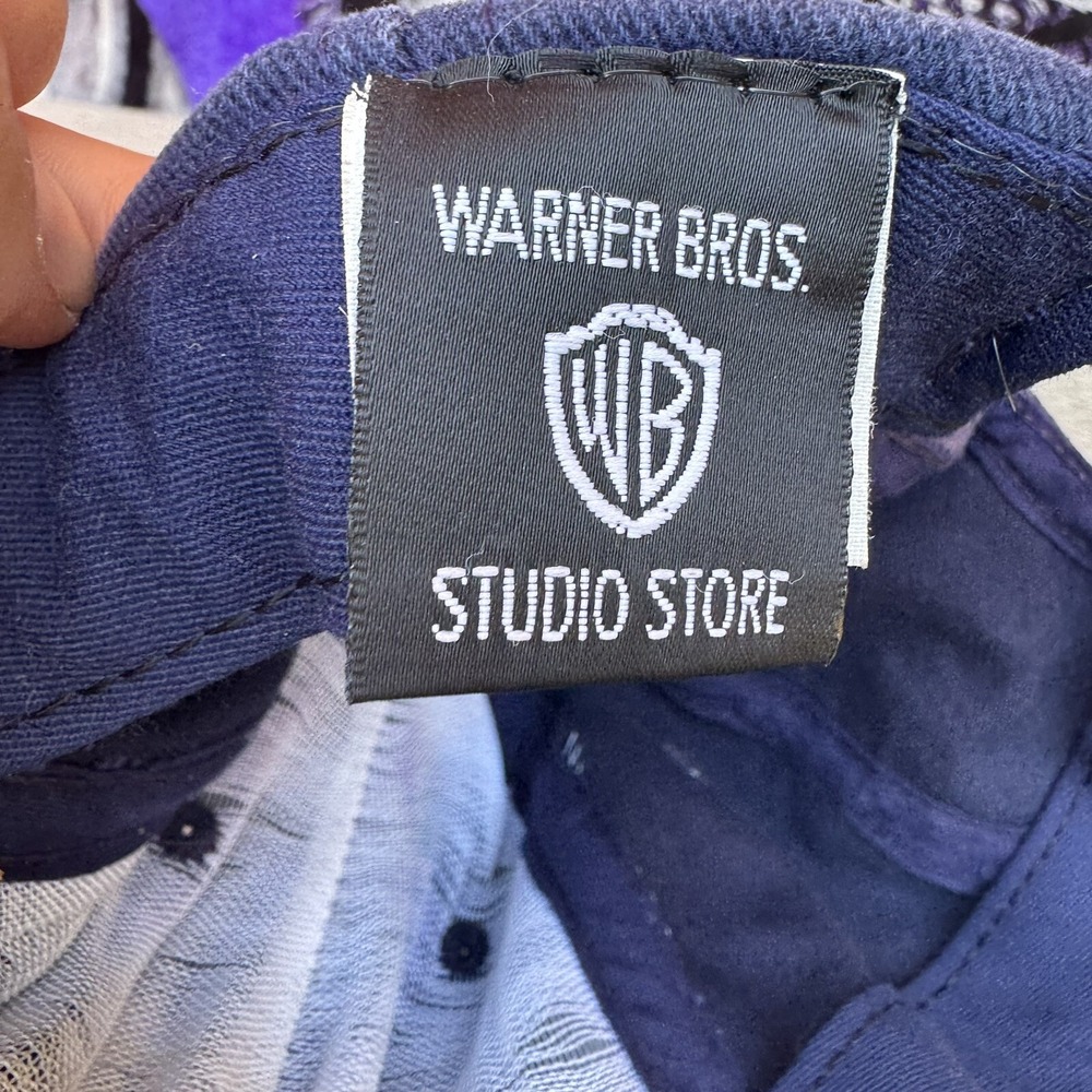 Warner Bros. Studio Store Vintage Daffy Duck Embroidered‎ Hat Blue Checkered - Picture 5 of 7